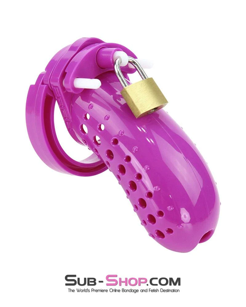 1603AR      The Stockade Purple Cage Male Chastity Device - MEGA Deal - Image 2